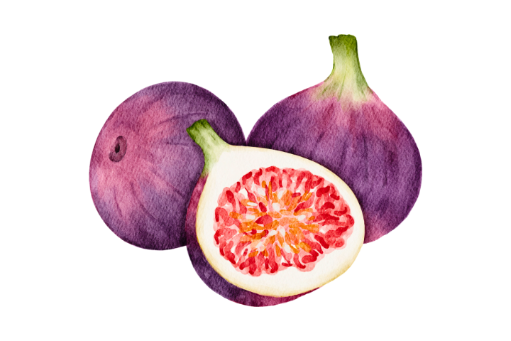 Ocracoke Fig Festival Event